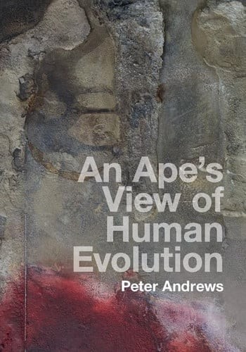 Ape view of human - an, ape's
