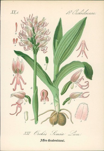 Chromolithographie - ,