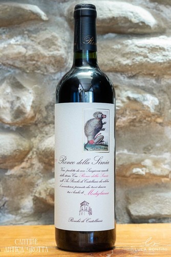 Ronco della simia - ronco,